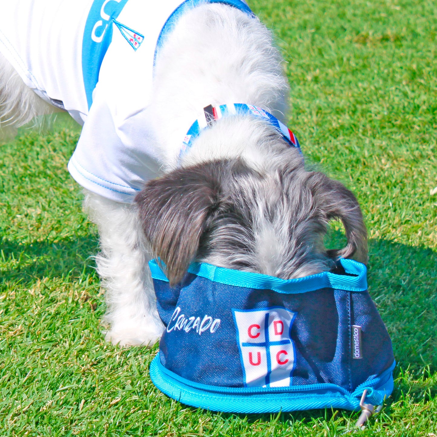 Plato Portátil para Perro Universidad Católica