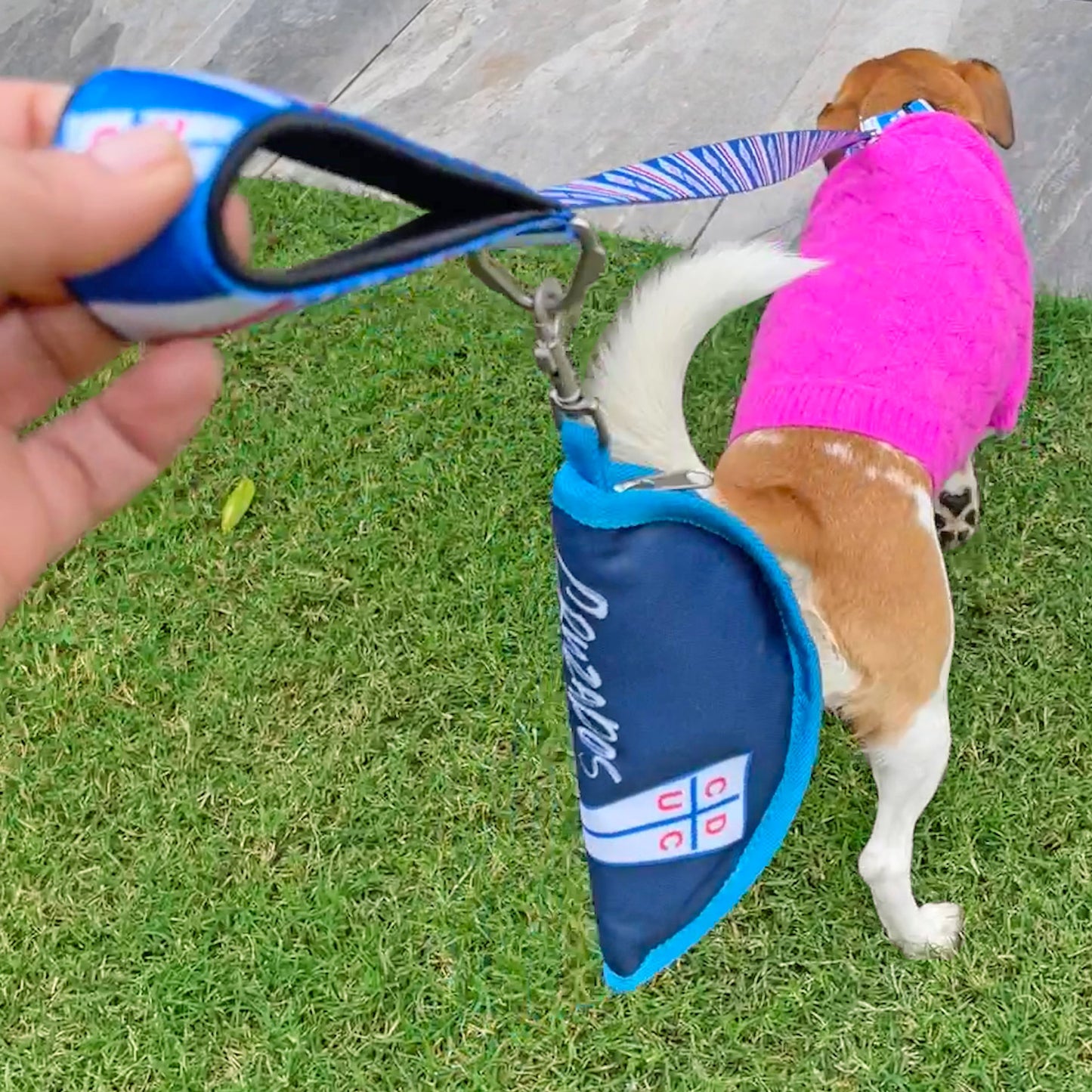 Correa para Perro Universidad Católica