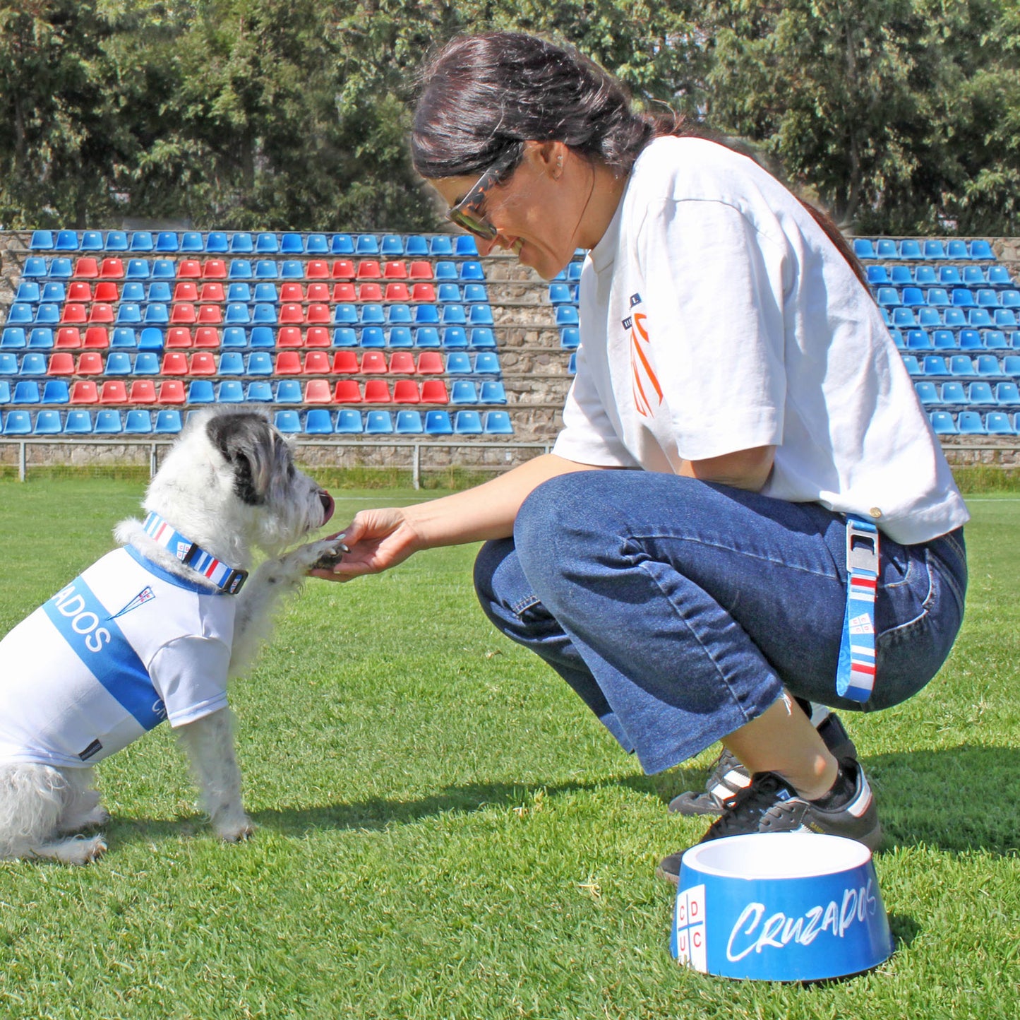 Pack Collar Perro + Llavero Universidad Católica