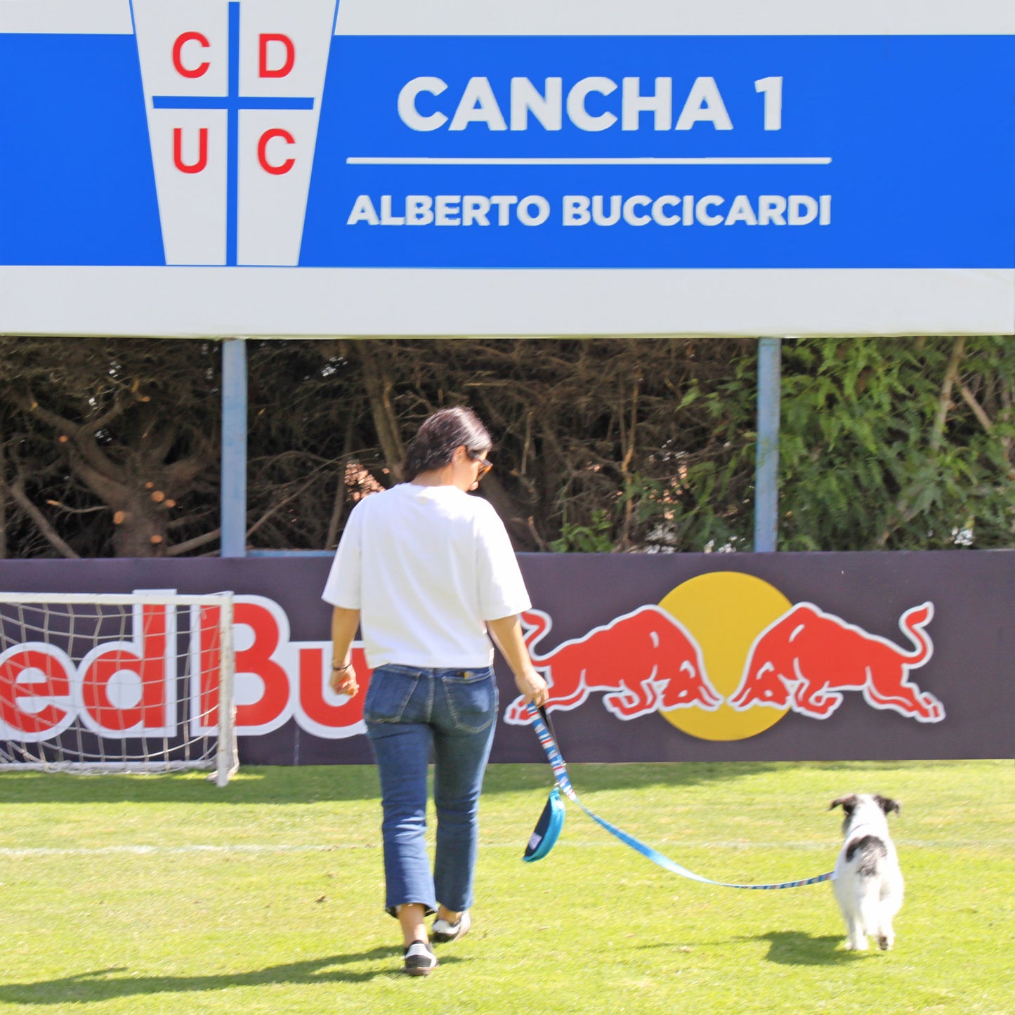 Correa para Perro Universidad Católica