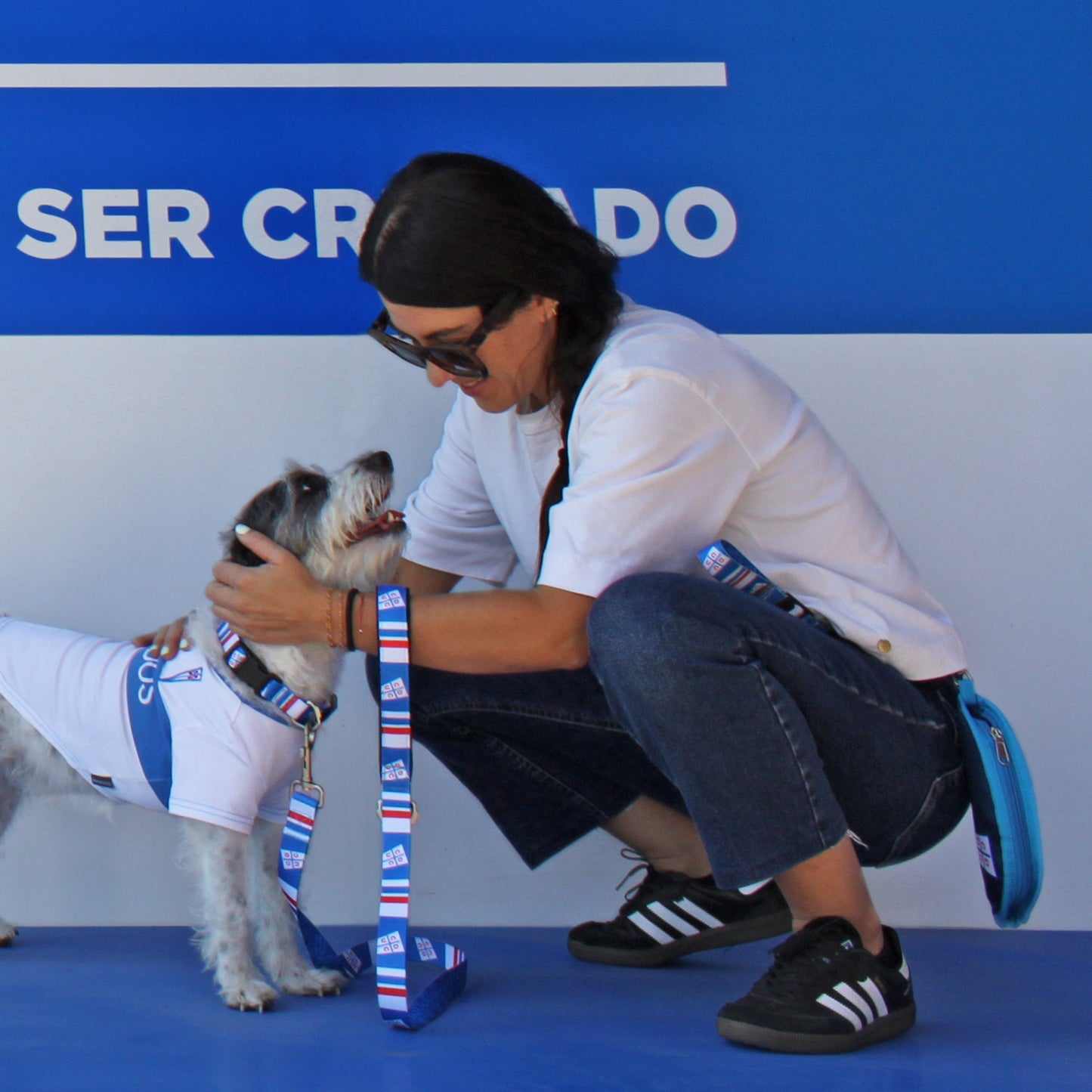 Correa para Perro Universidad Católica